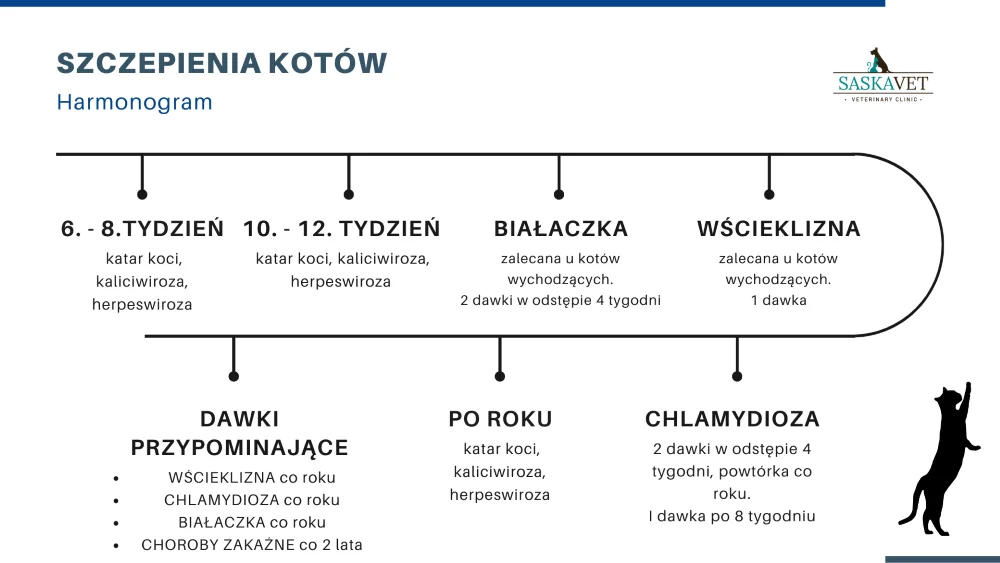 schemat-szczepienia-kota