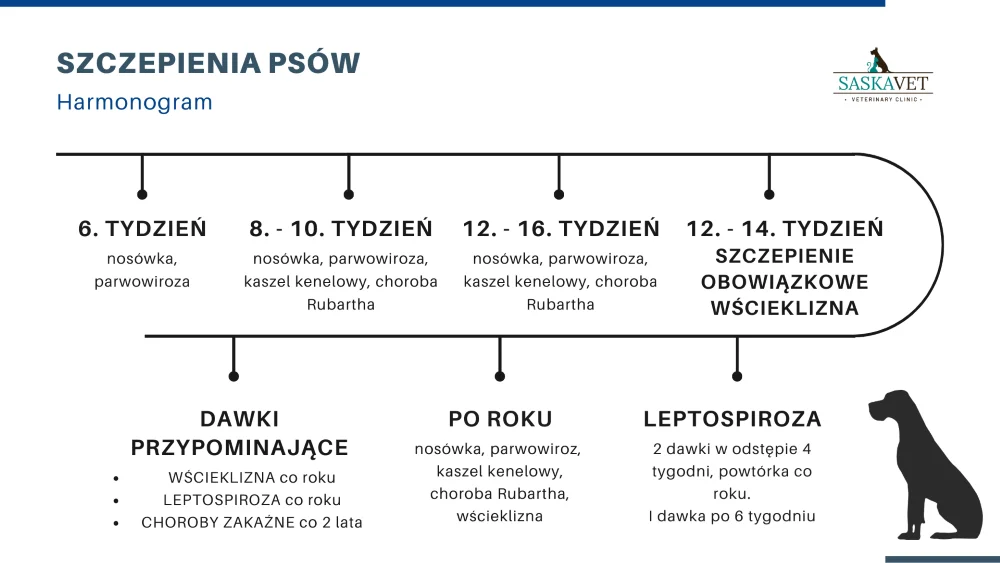 szczepienia-psa-aktualny-kalendarz